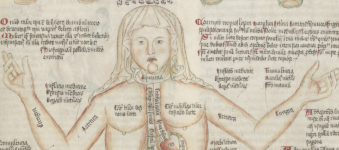 Larissa Shaw Banner Image