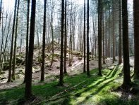 Michele Roncarati Banner Image