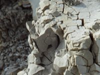 Duncan Whitley Banner Image