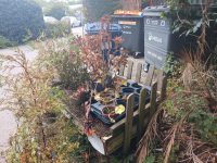 Lisa Kelly Banner Image